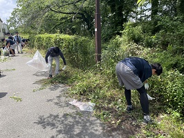 鎌を使って草を刈る学生たち