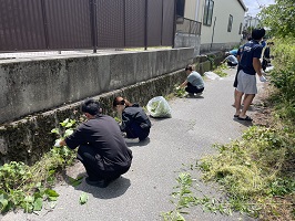 壁面の草を刈る学生たち