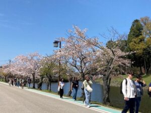 彦根城堀端を歩く