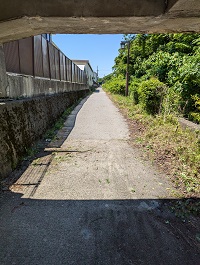 道が広くなった