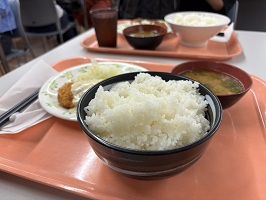 丼に入った山盛りご飯