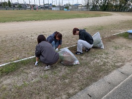 草をむしる学生たち