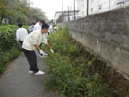 鎌で草を刈っていく