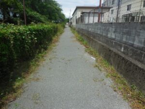 草がなくなりスッキリした道路