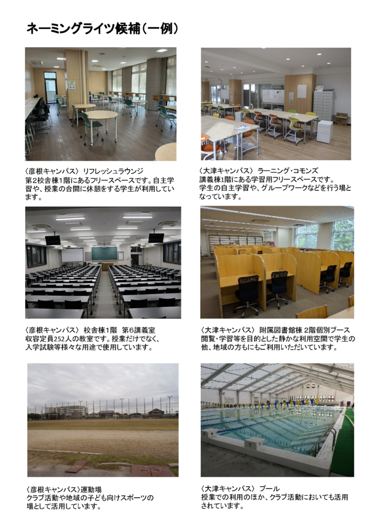 ネーミングライツ候補(一例)