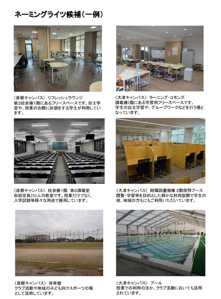 ネーミングライツ候補(一例)